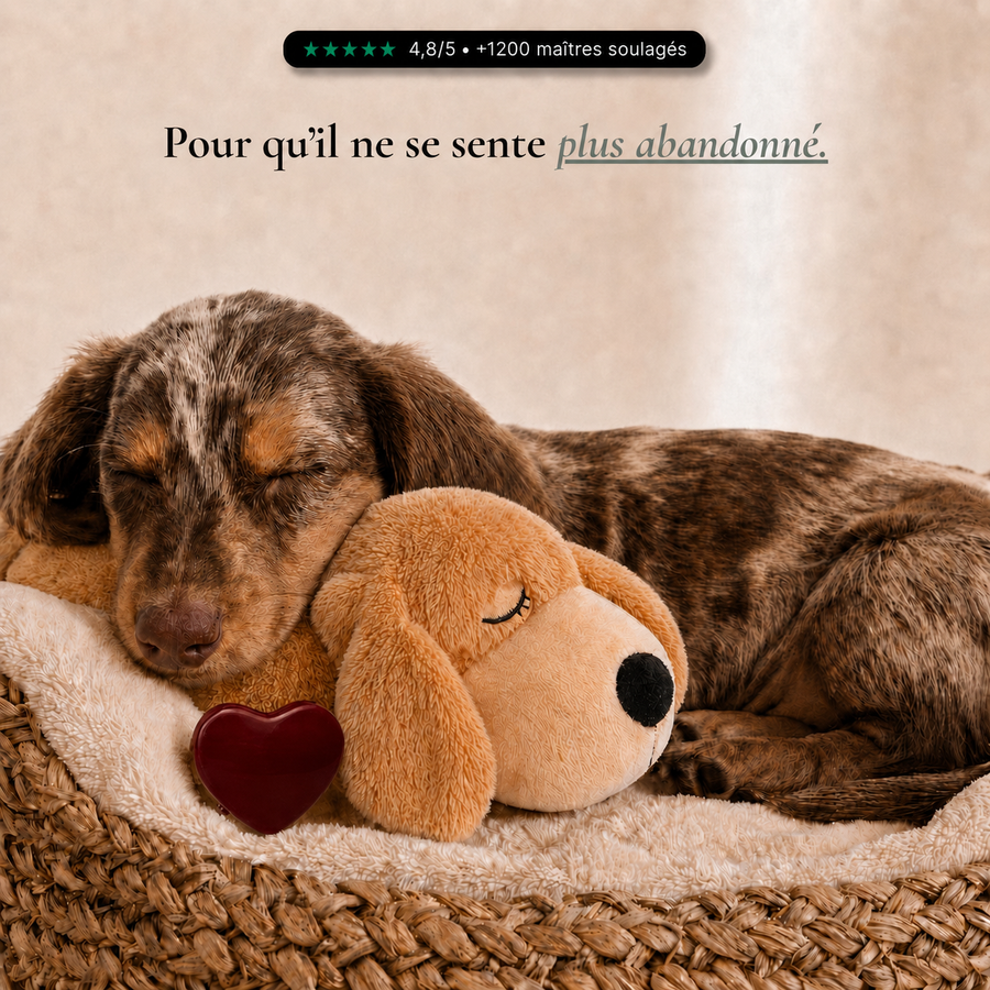 Peluche d'Apaisement Milo
