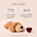 Peluche d'Apaisement Milo
