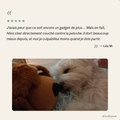 Avis client peluche anti-anxiété Kindlypaw cinq étoiles avec photo de chien endormi contre la peluche