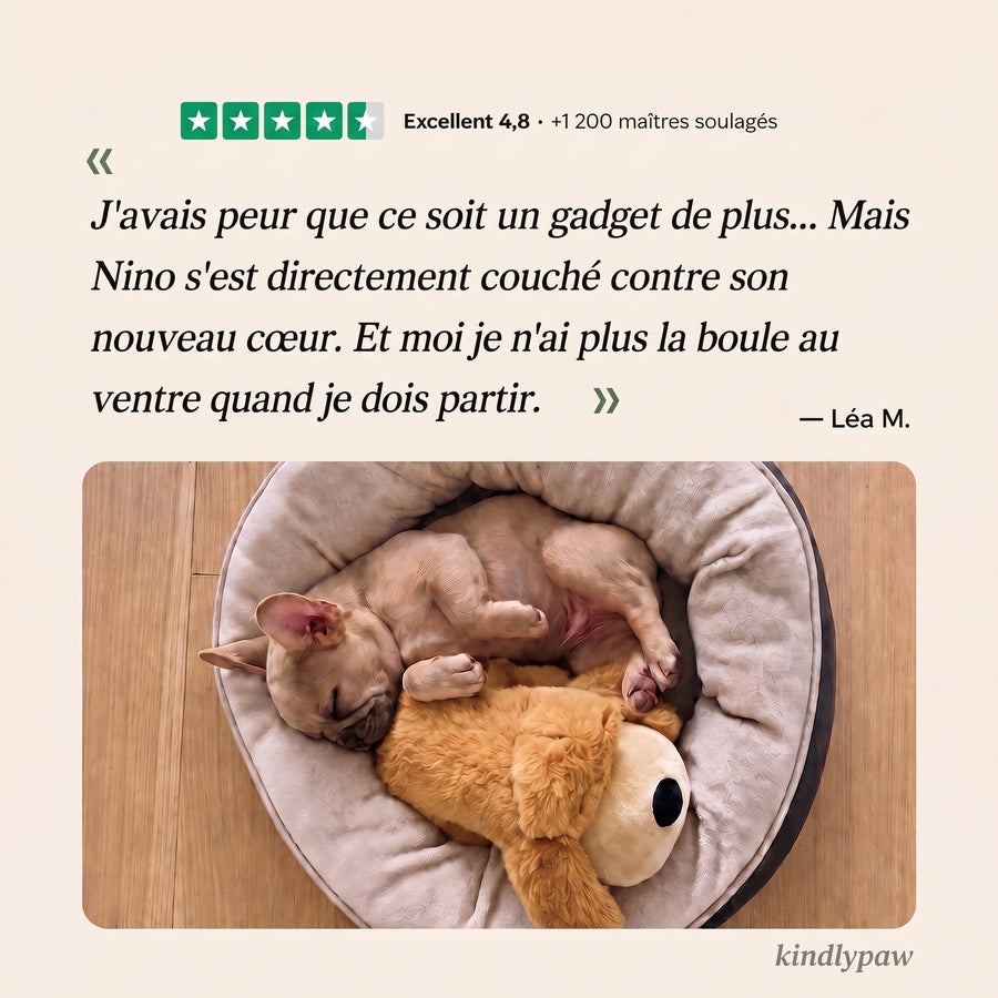 Peluche d'Apaisement Milo
