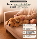 Chiot golden retriever endormi contre la peluche Milo Kindlypaw sur un canapé, qui apaise l'anxiété de séparation quand le maître s'absente.