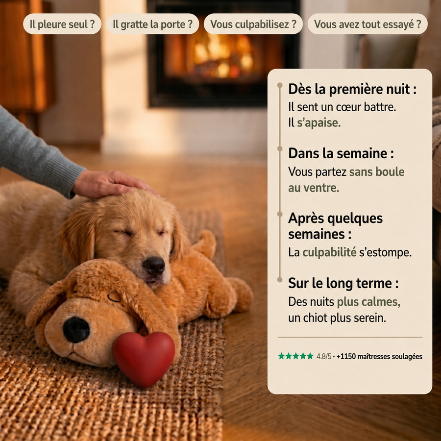 Chiot golden retriever apaisé contre la peluche Milo Kindlypaw au coin du feu, avec la progression du calme de la première nuit au long terme.
