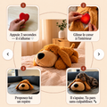 Mode d'emploi de la peluche Milo Kindlypaw en 4 étapes : activer le cœur battant, le glisser dans la peluche, la proposer au chiot qui s'apaise.